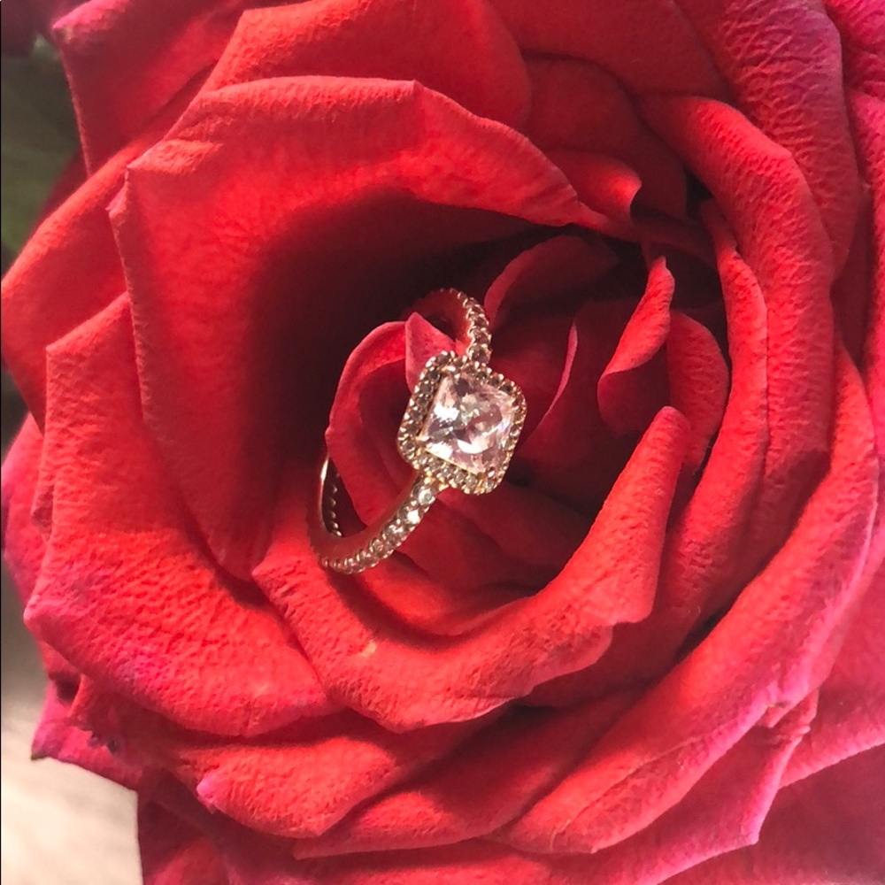 Timeless Elegance Ring, PANDORA Rose™ & Clear CZ